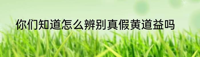 你们知道怎么辨别真假黄道益吗