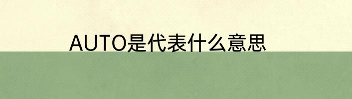 AUTO是代表什么意思