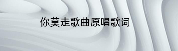 你莫走歌曲原唱歌词