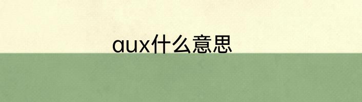 aux什么意思