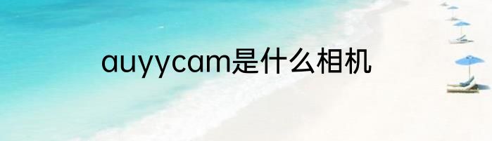 auyycam是什么相机