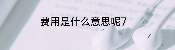 费用是什么意思呢7