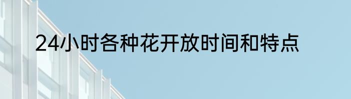24小时各种花开放时间和特点