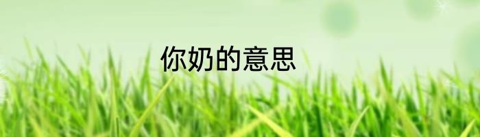 你奶的意思