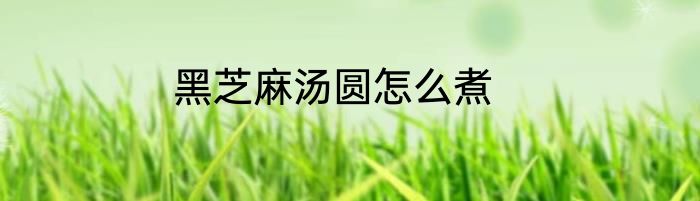 黑芝麻汤圆怎么煮