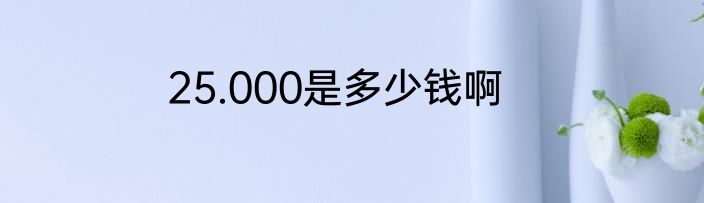 25.000是多少钱啊