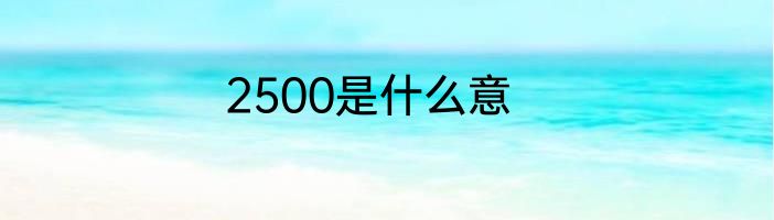 2500是什么意