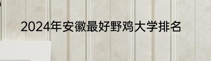 2024年安徽最好野鸡大学排名