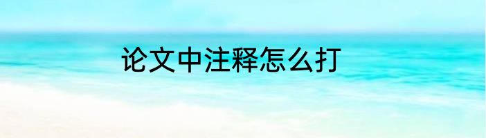 论文中注释怎么打