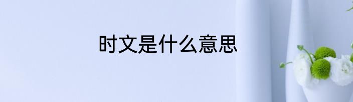 时文是什么意思