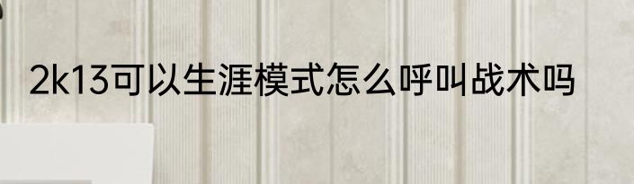 2k13可以生涯模式怎么呼叫战术吗