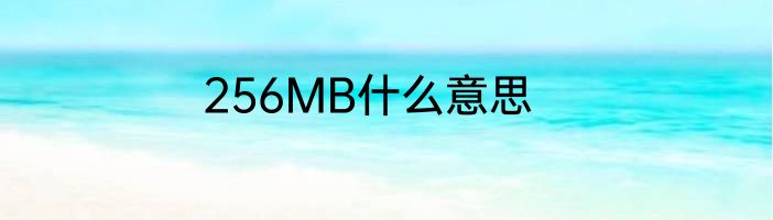 256MB什么意思