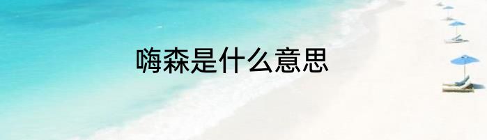 嗨森是什么意思
