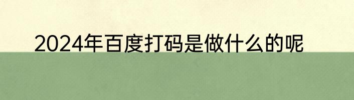 2024年百度打码是做什么的呢