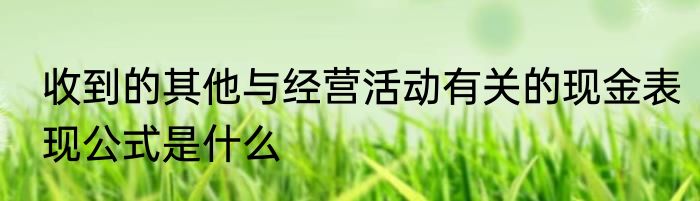 收到的其他与经营活动有关的现金表现公式是什么