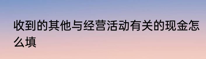 收到的其他与经营活动有关的现金怎么填