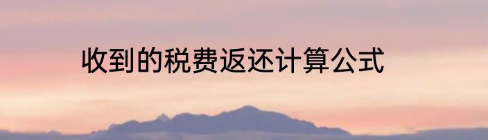 收到的税费返还计算公式