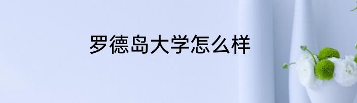 罗德岛大学怎么样