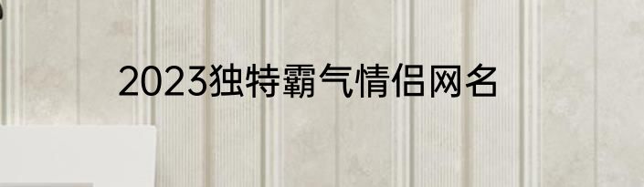 2023独特霸气情侣网名