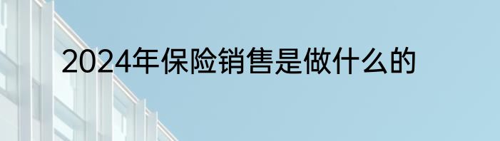 2024年保险销售是做什么的