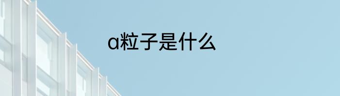 a粒子是什么