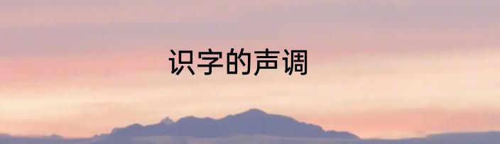 识字的声调