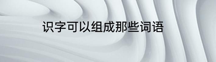 识字可以组成那些词语
