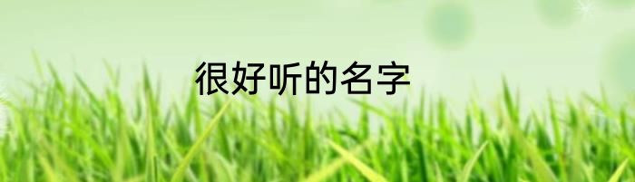很好听的名字