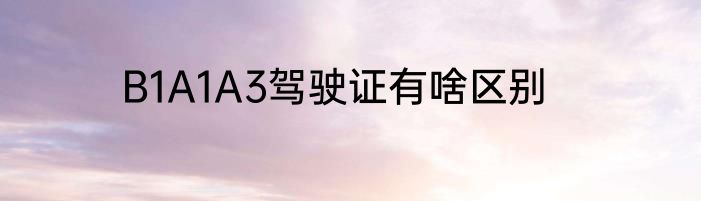 B1A1A3驾驶证有啥区别