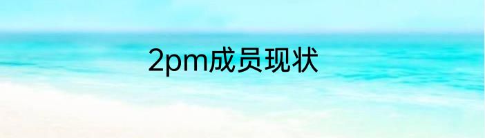 2pm成员现状