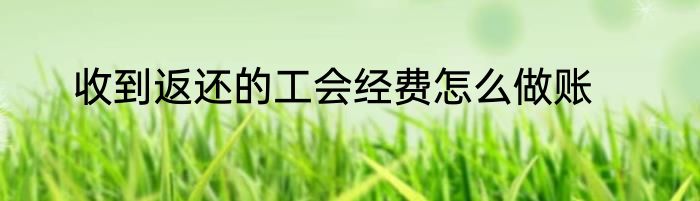 收到返还的工会经费怎么做账