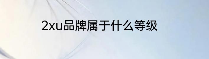 2xu品牌属于什么等级