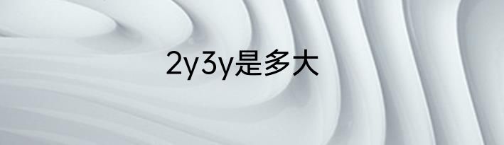 2y3y是多大