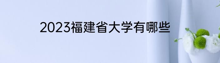 2023福建省大学有哪些