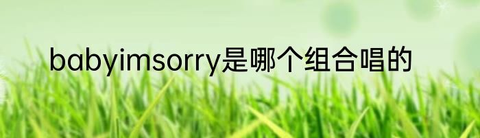 babyimsorry是哪个组合唱的