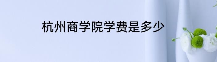 杭州商学院学费是多少