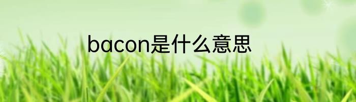bacon是什么意思