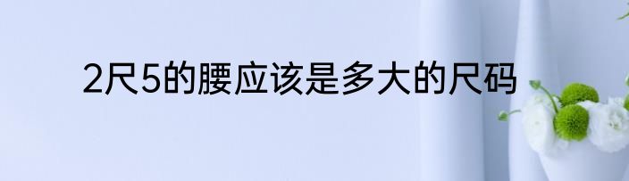 2尺5的腰应该是多大的尺码