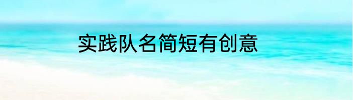 实践队名简短有创意
