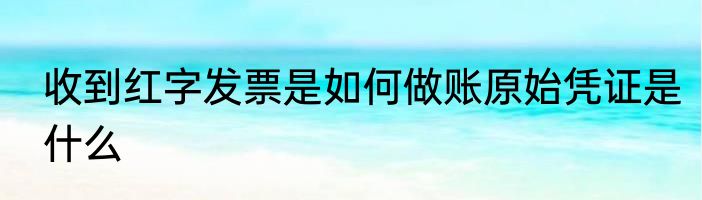 收到红字发票是如何做账原始凭证是什么