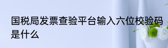国税局发票查验平台输入六位校验码是什么