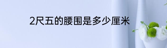 2尺五的腰围是多少厘米