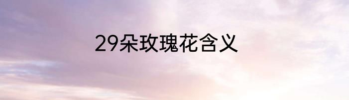 29朵玫瑰花含义