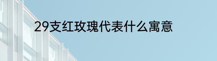 29支红玫瑰代表什么寓意