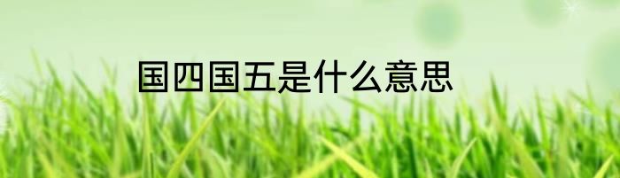 国四国五是什么意思