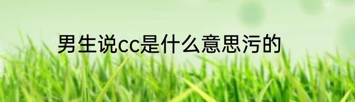 男生说cc是什么意思污的