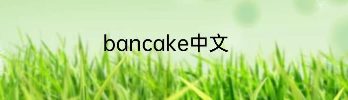 bancake中文