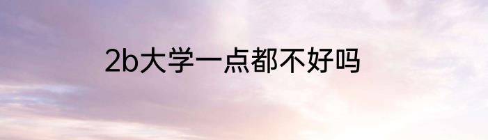2b大学一点都不好吗