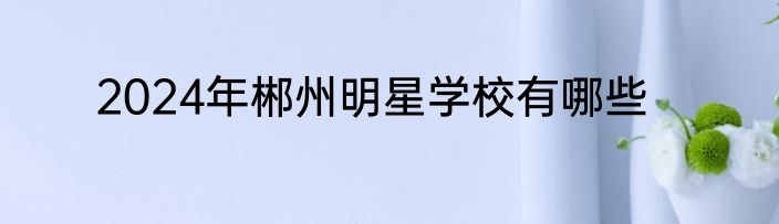 2024年郴州明星学校有哪些