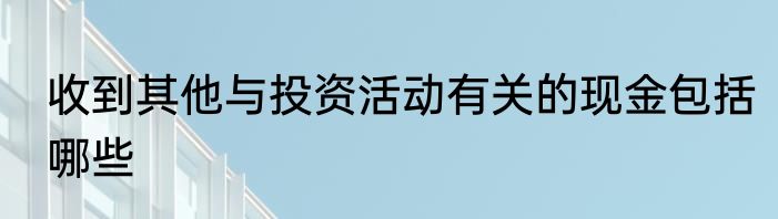 收到其他与投资活动有关的现金包括哪些